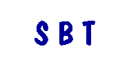 Shannon Brothers Tile Logo GIF